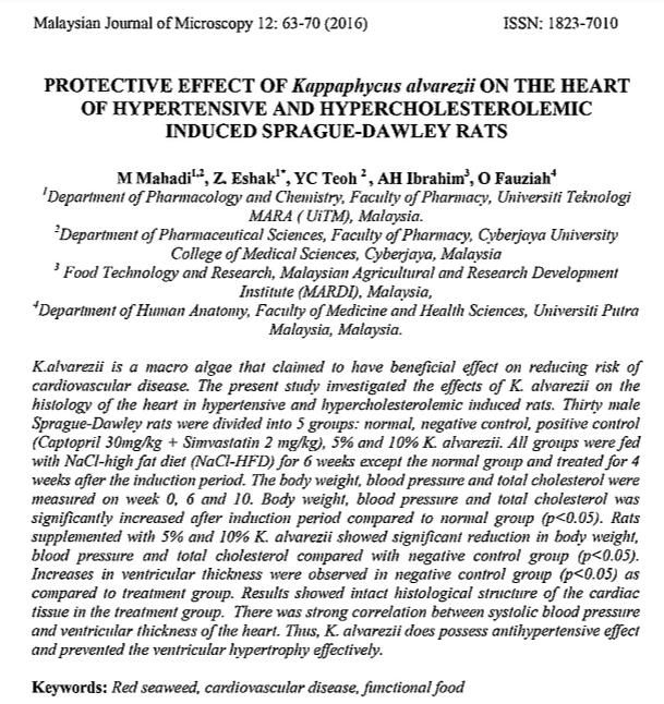 PDF_Vol_12_Paper_10_Abstract.PNG