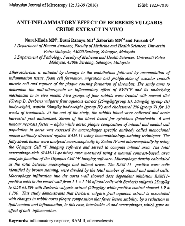 PDF_Vol_12_Paper_6_Abstract.PNG