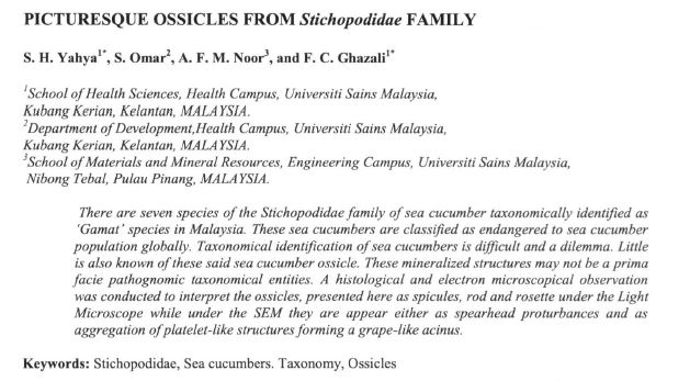 Vol_8_paper_33_Abstract.JPG